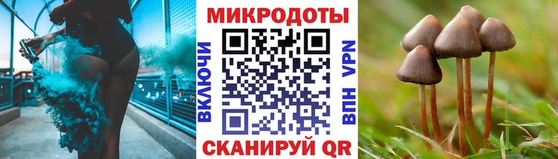 KRAKEN вход  Шагонар  Псилоцибиновые грибы GOLDEN TEACHER 